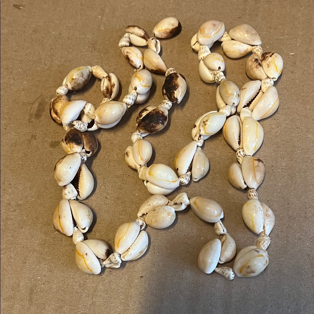Natural Shell Necklace